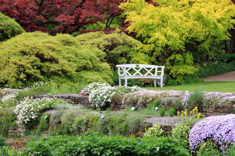 paysagiste-ST JEAN CAP FERRAT-min_landscape-tree-grass-plant-lawn-flower-1118629-pxhere.com